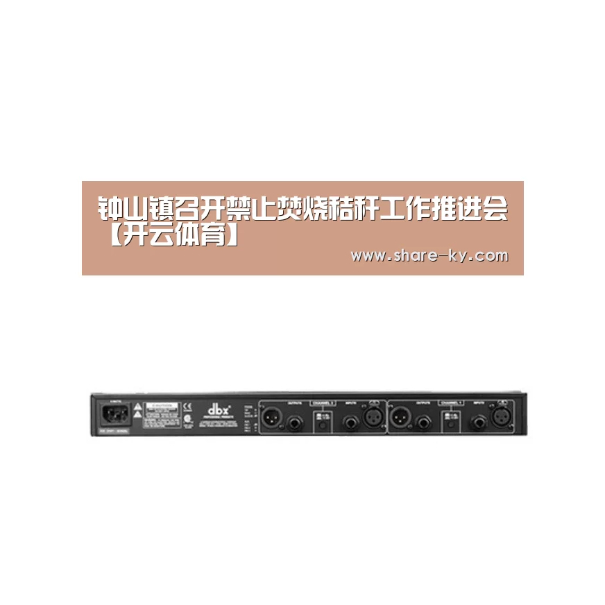 钟山镇召开禁止焚烧秸秆工作推进会【开云体育】(图1) 开云体育官网
